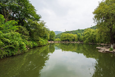 4虎的网名：勇闯网络江湖，个性网名助你一臂之力-4