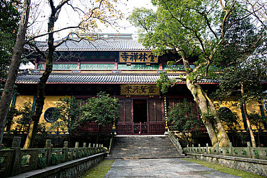 91免费版抖音：短视频盛宴：探索免费抖音世界，发现生活无限精彩-2