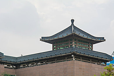 含羞草 成人网站一天一次：释放压力，畅享精彩，轻松一＂次，快乐生活每一天！
