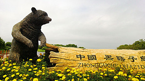 sp打屁股网站：网络打闹风潮引关注，青少年健康成长需护航-3