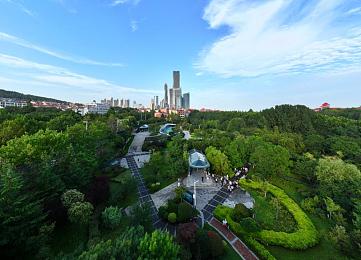 夜晚10大禁用b站：夜幕降临，警惕B站十大“陷阱”，守护健康睡眠时光-2