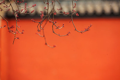 黄色软件下载3.3.0：飞速下载，安全无忧，体验新纪元-3