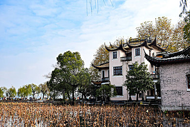 娇妻被按摩师3p到高潮：揭秘按摩师绝技：娇妻身心蜕变，感受高潮之旅-2