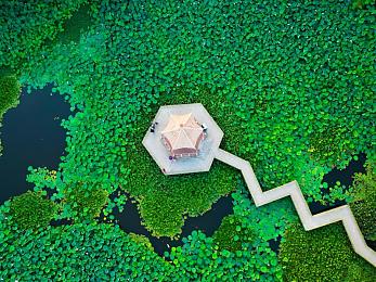 在学霸的棒棒上背单词动漫：动漫中轻松学英语：创新背单词方法走红学生圈-2