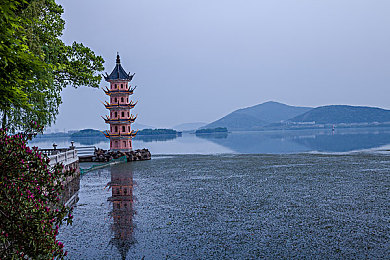 樱桃直播：直播乐园，畅玩欢乐无限-3