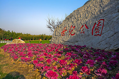 汤姆影院最新地域网名：地域风情定制，汤姆影院观影新体验-2
