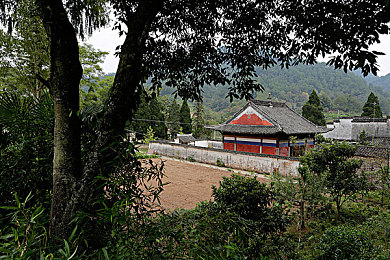 花季传媒黄版免费：免费传媒新纪元，行业变革探秘之旅-2