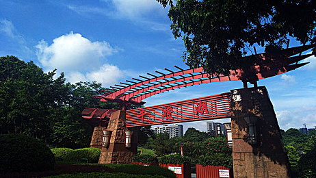 糖心芋圆呀呀在线播放：美食探秘之旅，芋圆糖心演绎视觉味蕾盛宴-2