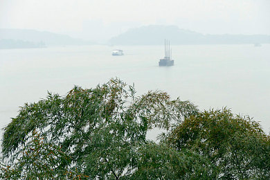 将界丁思聪与雷蕾片段：娱乐巨头真情流露：丁思聪与雷蕾公益情谊引发热议