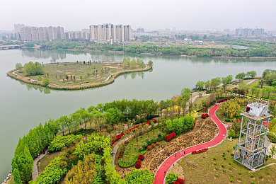 色情软件在线：数字迷雾下的视觉诱惑：揭秘在线娱乐的多元魅力与隐秘价值