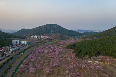 99re只有精品视频：《幻域探险记》画面精美如童话，游戏攻略轻松上手，好评如潮引玩家热议-3