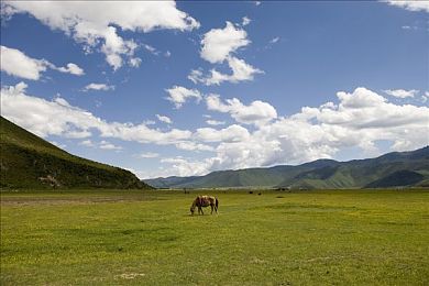 欧美日韩国产A：匠心之旅，环球A品探秘之旅