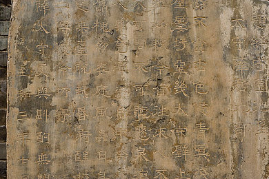 在医院工作的妈妈主治大夫：母爱医者，双重身份诠释责任与担当：致敬医院里的超级妈妈