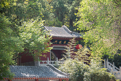 好色APP：视觉盛宴，个性化探索——开启你的视觉之旅-3