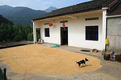 男生插入女生软件：遇见心动，趣味互动——揭秘社交新天地-3