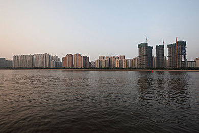 又白又肥老妇人XXX：“农家传奇，白肥老妇铸就致富传奇，启迪人生新篇章”-2