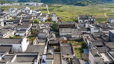 黄色appoppo：安全防线，守护无“黄”空间：揭秘手机应用监管风暴-5