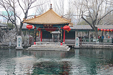 海外8x8x：跨越全球的创新火花：智慧8x8世界探险之旅-4