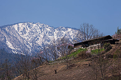 黄色免费应用：揭秘热门娱乐神器：海量资源，轻松享受独特免费应用体验-1