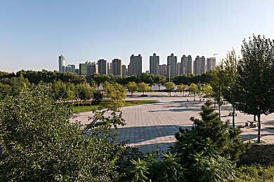 流氓软件安装合集：隐私守护者：揭秘恶意软件陷阱，安全畅游网络世界-2