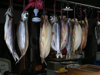 黑料155fun永久入口合集：游戏揭秘：黑幕探秘，155fun视角下的另类游戏世界-2
