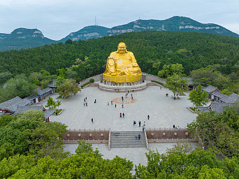 淘片色区T234.TV：电影宝库，影迷私享，T234.TV观影盛宴