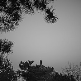 二人剧烈运动扑克视频：融合运动与智力挑战，独特娱乐方式“二人竞技扑克”走红网络-2