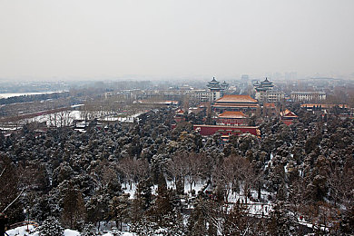 花季传禖APP下载：青春互动新体验，花季传禖APP带你畅游青春记忆之旅-3