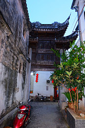 ONLYfans盛世容颜柚子小僵尸：数字时代网红魅力揭秘：柚子小僵尸的盛世容颜与成长之路-3