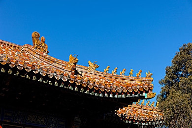糖心logo免费：Logo设计新风尚，一触即达品牌新形象-2