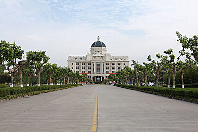 忘忧草www日本：日系娱乐盛宴，SEO巅峰揭秘：全球网民的在线狂欢之旅-4