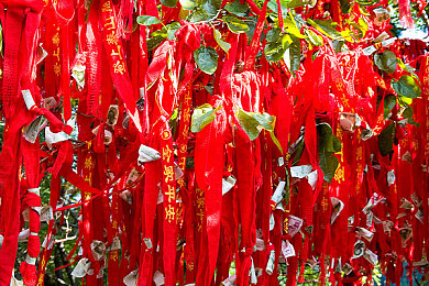 黑人 娇小 亚洲 硬：跨越种族与身材，展现多元体育风采-1