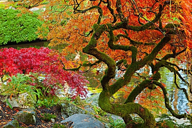 天天综合网、天天综合色：数字盛宴，网界万象，揭秘新兴平台信息潮流-2