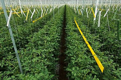 日本不良正能量网站：网络笑匠奇遇记：另类正能量大冒险-2