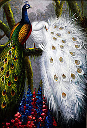 婷婷五月天网：奇幻征途，冒险探秘，尽在五月天梦境-3
