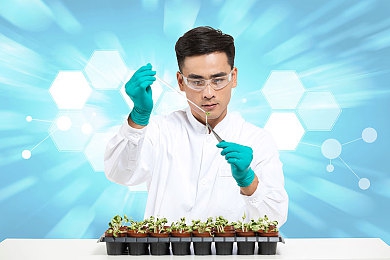 毛毛茸茸free性：宠享舒适梦，品质生活新选择-3