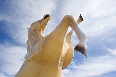 911爆料网红领巾瓜报网址：揭秘娱乐圈秘密，网红领巾瓜报网址点燃网络正义狂欢-2