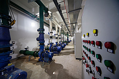 麻豆传煤入口免费进入2023：游戏新风尚：《麻豆传煤》免费畅玩，开启行业新纪元