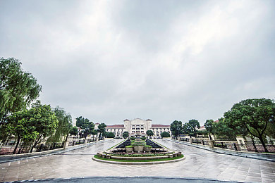 国产精品久久久久久久久久网爆门：传统文化背景下的游戏新贵，国产精品“久久网”爆火引发热议-3