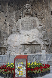 草莓列表下载：草莓乐园探秘之旅，尽享美味与知识
