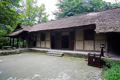 拔萝卜打扑克：“萝卜地里斗智勇，扑克牌上展风采：探寻趣味无限《萝卜牌界》”-4