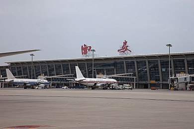 仙踪林免费视频入口老狼：揭秘免费视觉盛宴：老狼带你畅游仙踪林视频世界-1