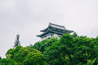91网曝黑料网：揭秘网络暗流，守护清朗空间：全民共创纯净网络之旅-1