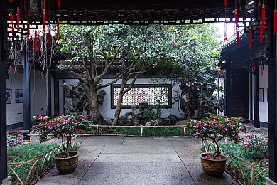 女警察羽毛搔乳尖受到崩溃：紧急关注：一线女警抓捕中受伤，安全防护亟待加强引社会热议-1