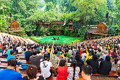 天堂在线最新网址：畅游游戏天堂，揭秘天堂在线全新平台魅力-3