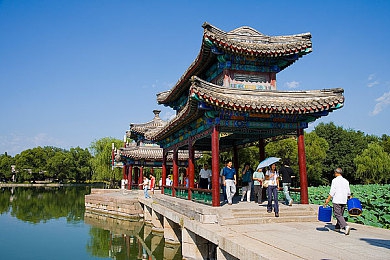 英语老师的胸好软：校园温馨瞬间：师生情谊中的独特调侃，感受英语老师的温柔魅力-4