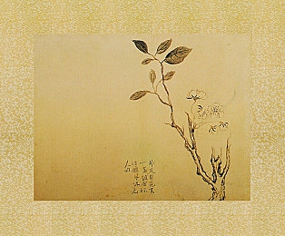 狗头口罩呼啦圈25分钟：“趣味健身新风尚：狗头口罩呼啦圈，25分钟塑形秘籍惊艳亮相，轻松打造完美身材！”-3