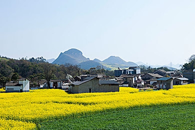 色多多社区：畅游在线娱乐新天地，色多多平台助你释放压力，乐享高清观影时光