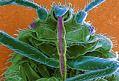 男女差差差免费：游戏免费风波引性别平等深思，标题争议折射社会进步之光-5