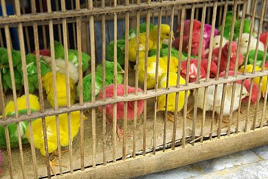 艳少妇人妻厨房激情：打造温馨厨房激情：家庭美食与情感交融的美好生活秘籍-5